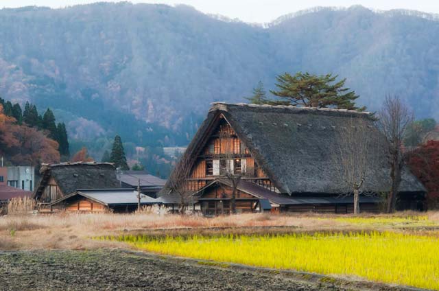 テキストテキスト