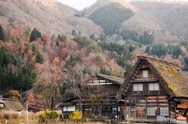 テキストテキスト